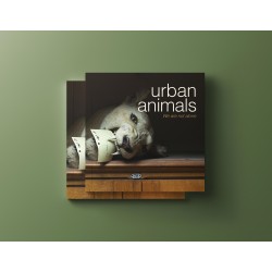 Urban Animals - Vita Urbana, Storie Animali!