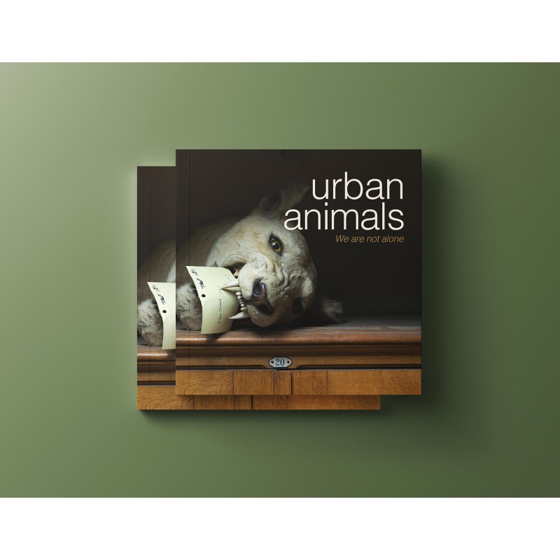 Urban Animals - Urban Life, Animal Stories!