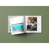 Urban Animals - Vita Urbana, Storie Animali!