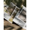 Beyond Words: Photographic and Poetic Explorations into the Soul of Giuseppe Ungaretti