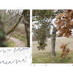 Beyond Words: Photographic and Poetic Explorations into the Soul of Giuseppe Ungaretti