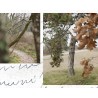 Beyond Words: Photographic and Poetic Explorations into the Soul of Giuseppe Ungaretti