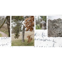 Beyond Words: Photographic and Poetic Explorations into the Soul of Giuseppe Ungaretti