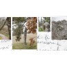 Beyond Words: Photographic and Poetic Explorations into the Soul of Giuseppe Ungaretti