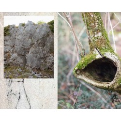 Beyond Words: Photographic and Poetic Explorations into the Soul of Giuseppe Ungaretti