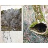 Beyond Words: Photographic and Poetic Explorations into the Soul of Giuseppe Ungaretti