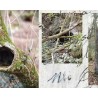 Beyond Words: Photographic and Poetic Explorations into the Soul of Giuseppe Ungaretti