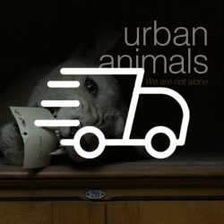 [SHIPPING] Urban Animals - Urban Life, Animal Stories!