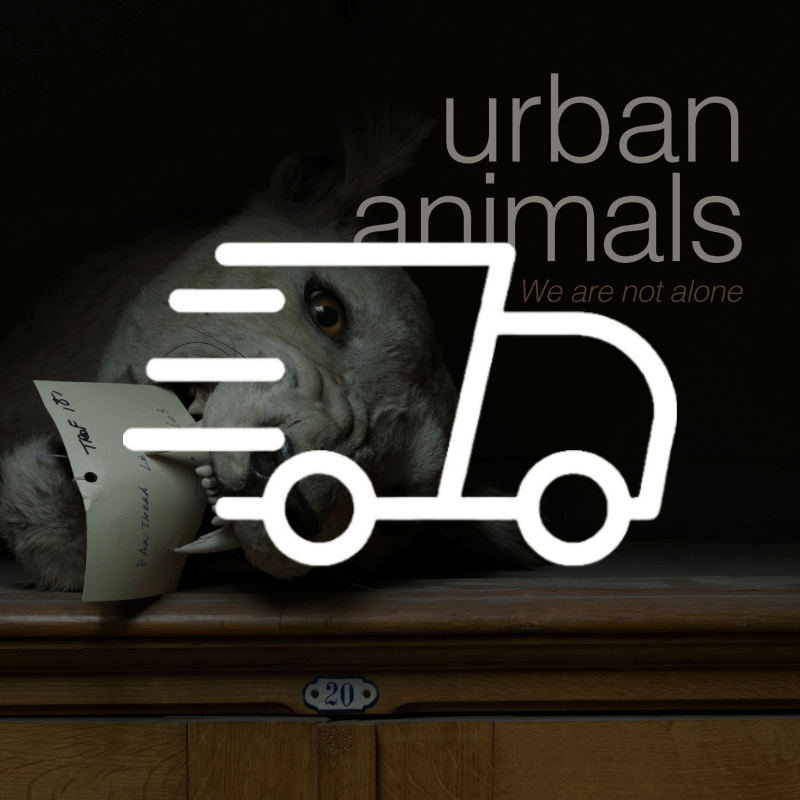 [SHIPPING] Urban Animals - Urban Life, Animal Stories!