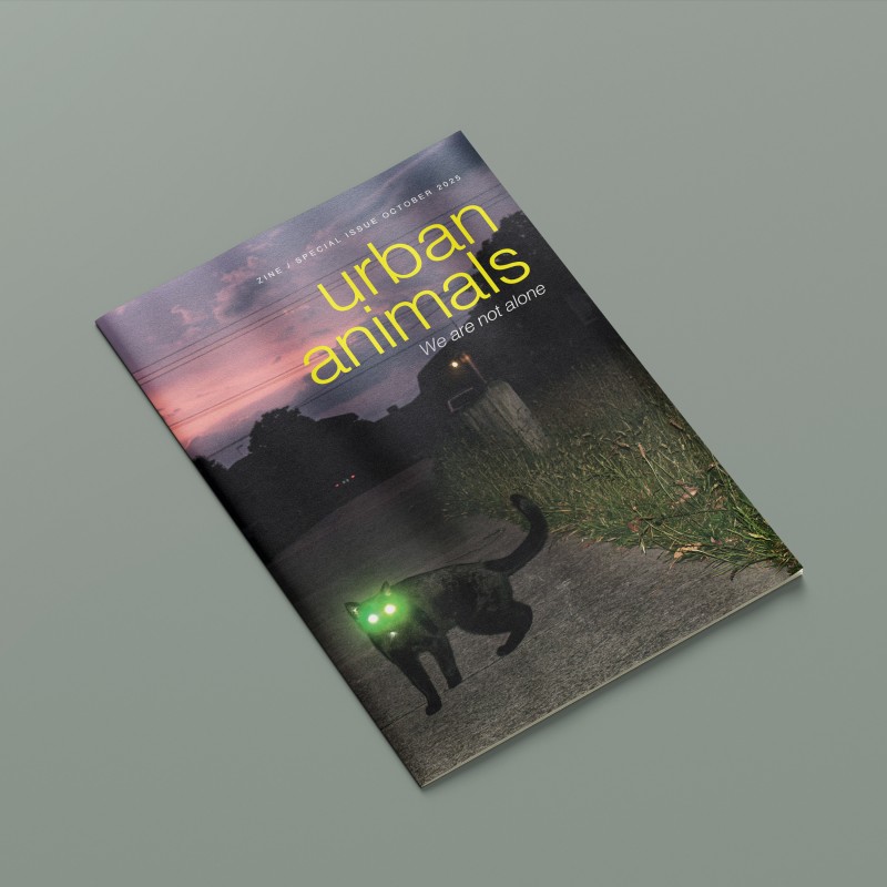 Urban Animals Zine (Special Issue)