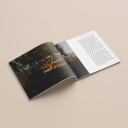 Artisti della Terra del Carso