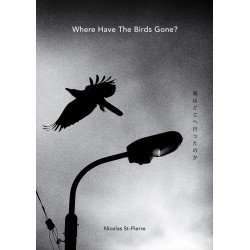 Where Have the Birds Gone? - Nicolas St-Pierre