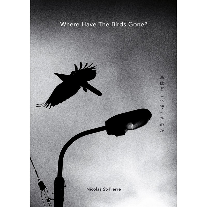 Where Have the Birds Gone? - Nicolas St-Pierre