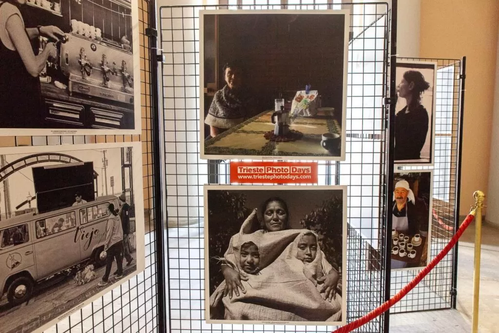 TriestEspresso Photo Days - immagine 6