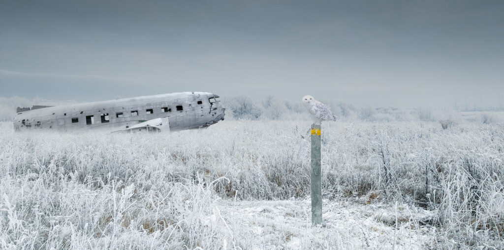 Yuri Pritisk - Apocrypha - Airplane and owl