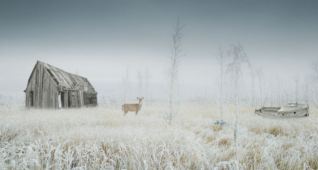 Yuri Pritisk - Apocrypha - Roe,deer and boat