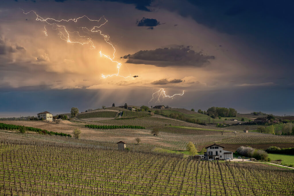 Premoli Alex - Temporale in arrivo sul vigneto di Casale Monferrato