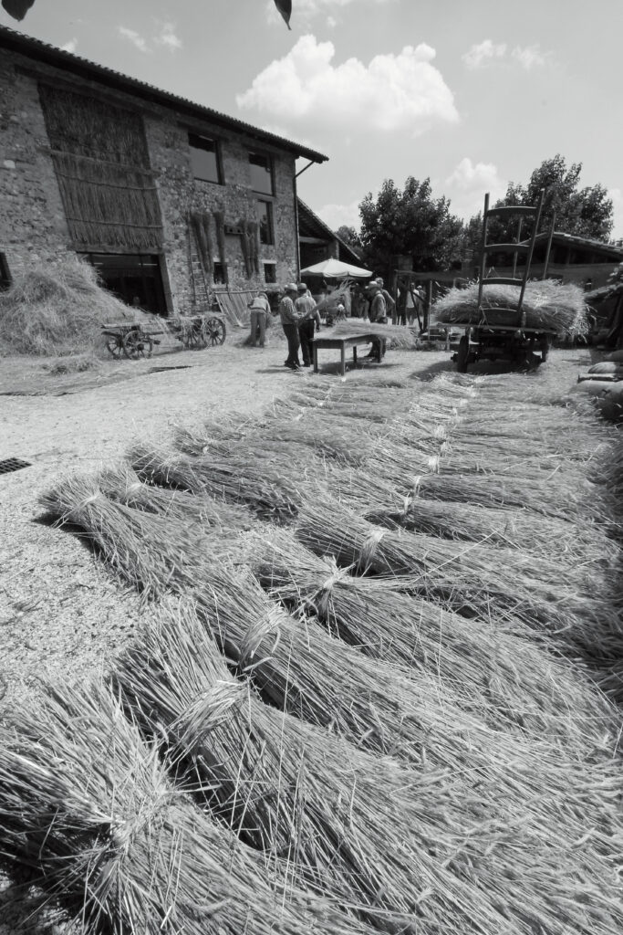 Renzo Schiratti - Preparazione della paglia di segala per la realizzazione del tetto