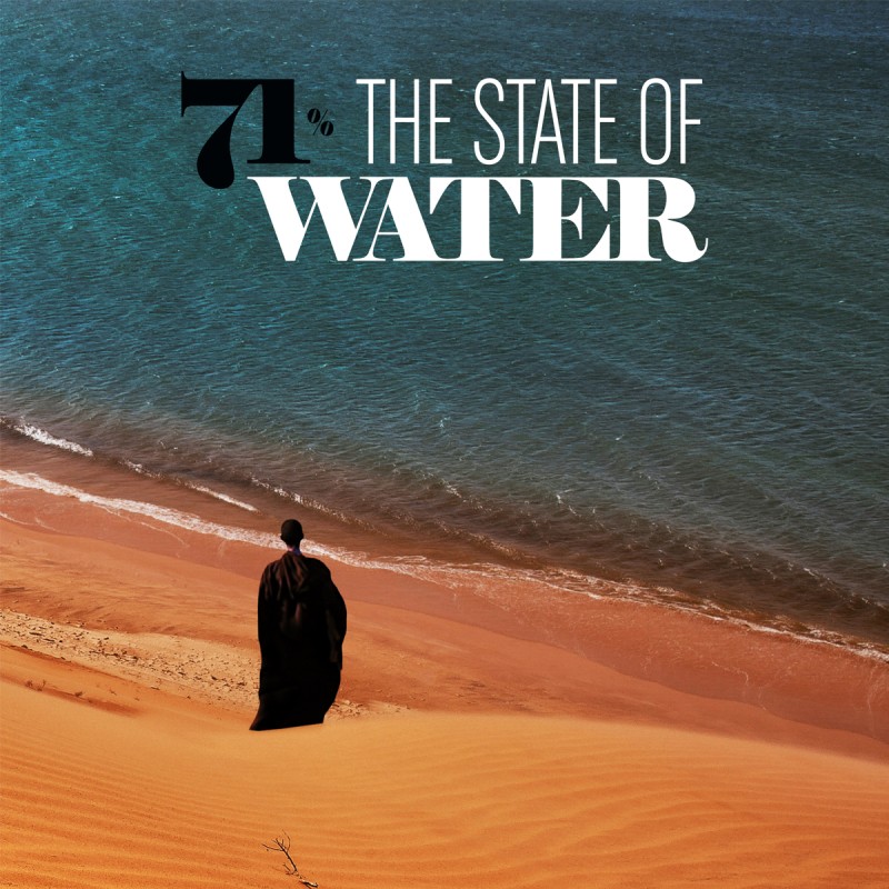 71% - The State of Water copertina libro