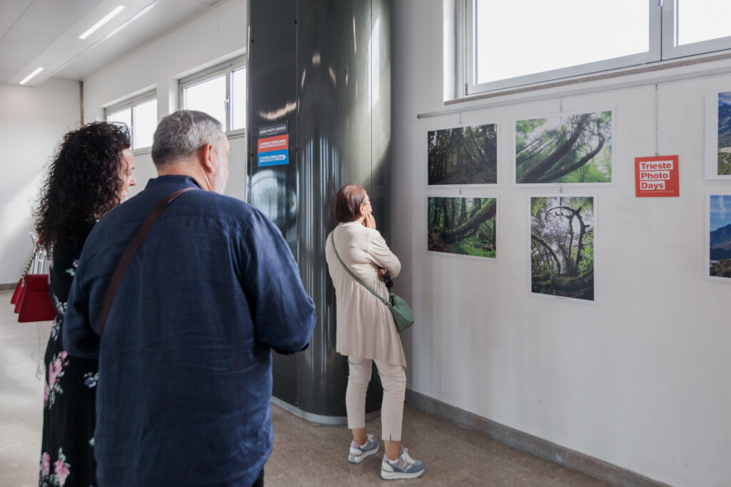 Signora e una coppia che guardano una mostra fotografica