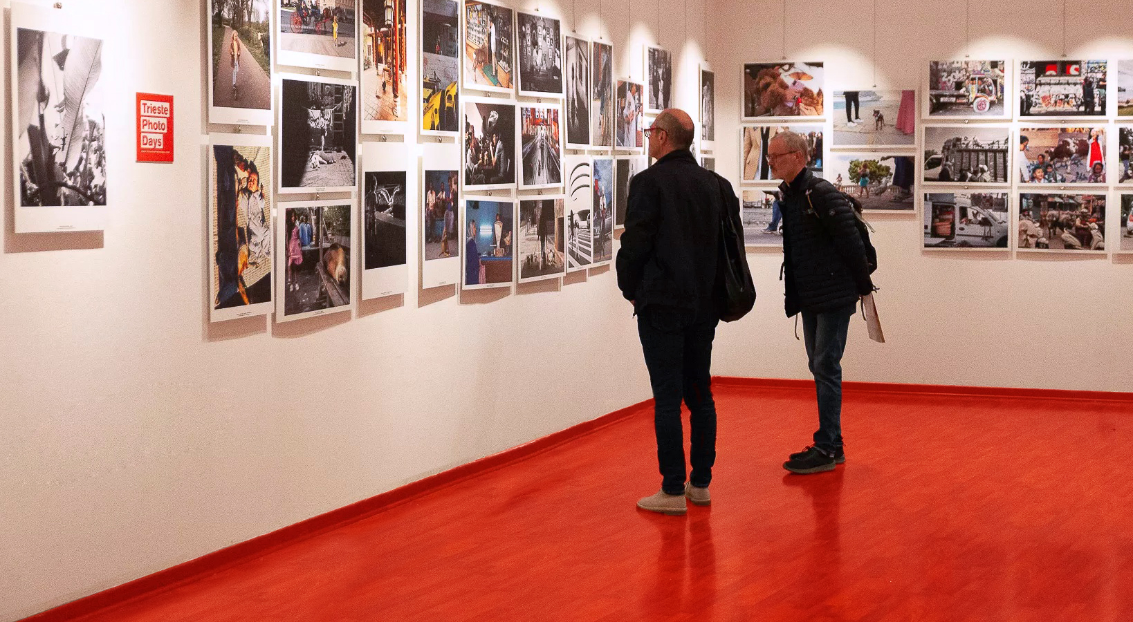 Progettiamo feature image Mostre